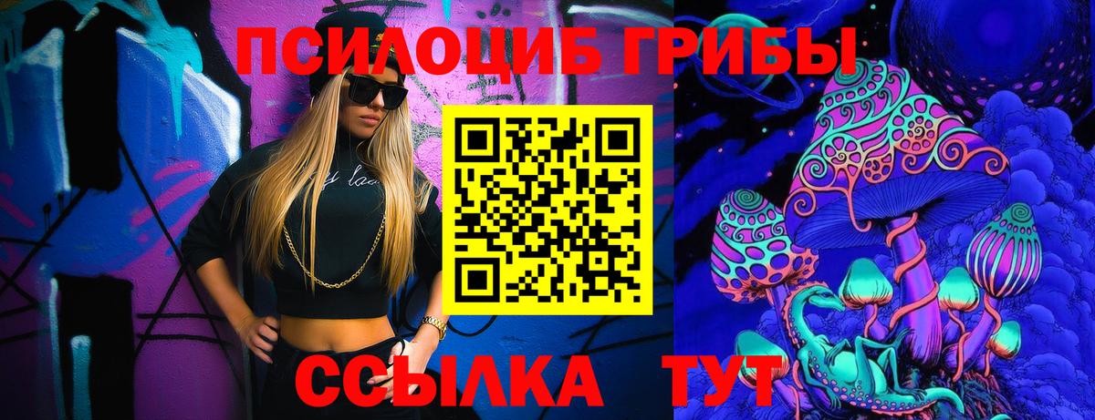 Псилоцибиновые грибы Cubensis Уссурийск