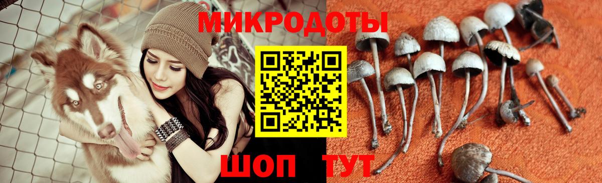 Уссурийск  Псилоцибиновые грибы GOLDEN TEACHER  Псилоцибиновые грибы Magic Shrooms  Вход с VPN 